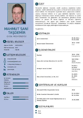 cv indir